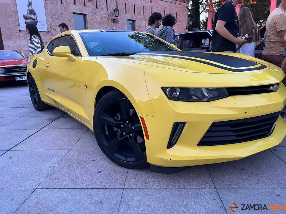 Pure American Style Zamora _8