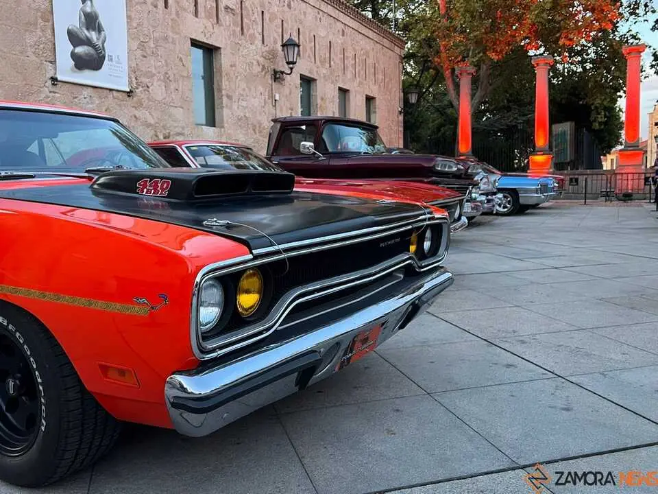 Pure American Style Zamora _10