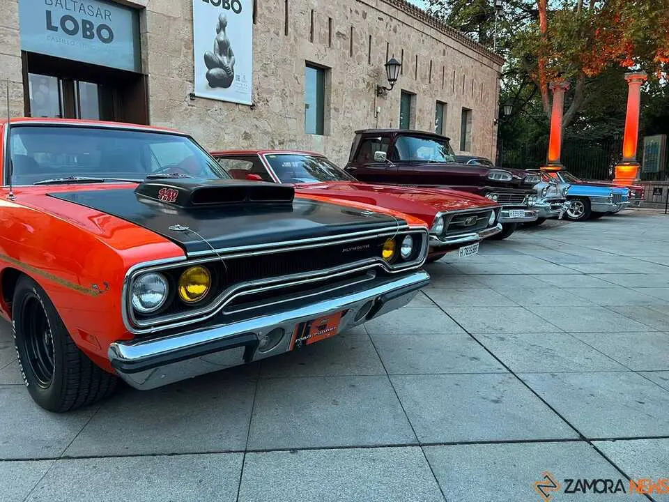 Pure American Style Zamora _11