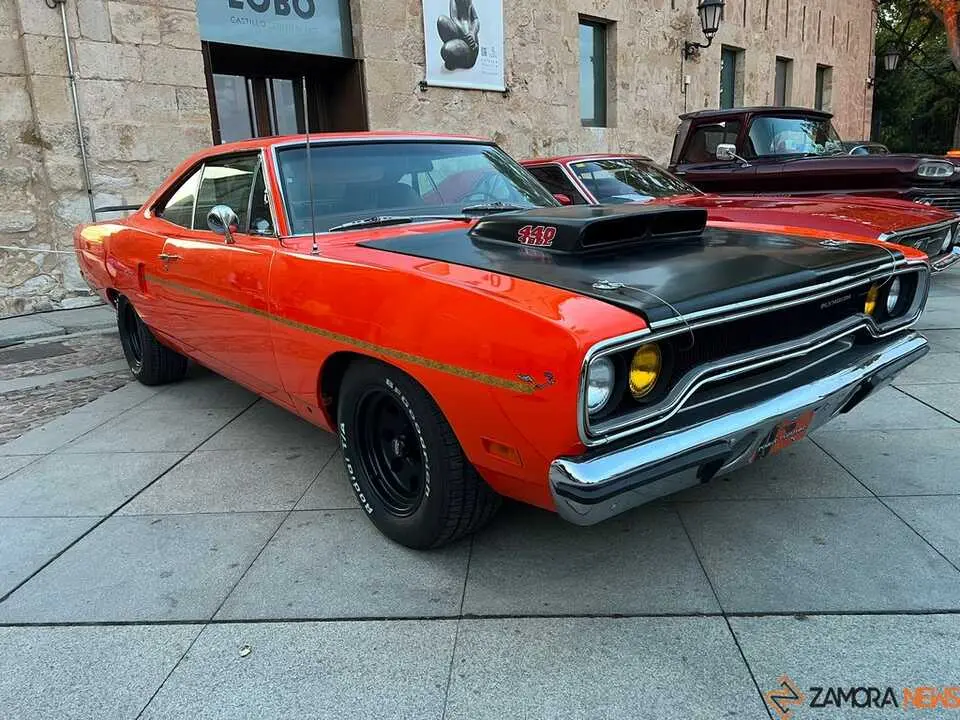 Pure American Style Zamora _14