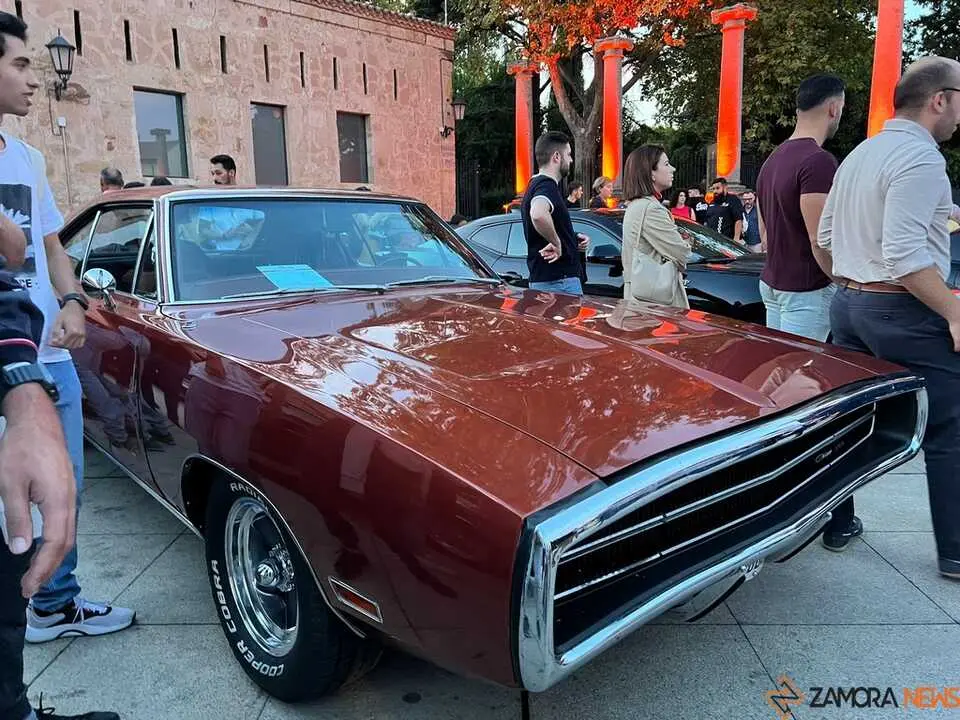 Pure American Style Zamora _18