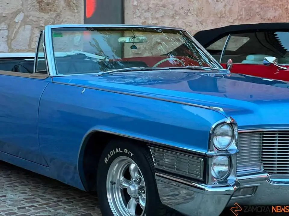 Pure American Style Zamora _20