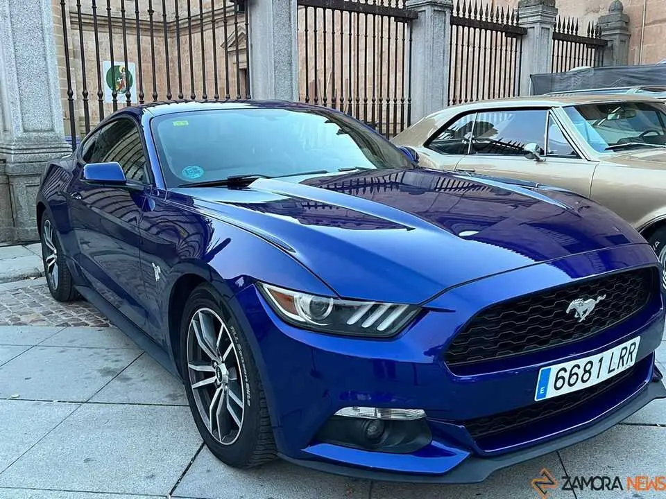 Pure American Style Zamora _22