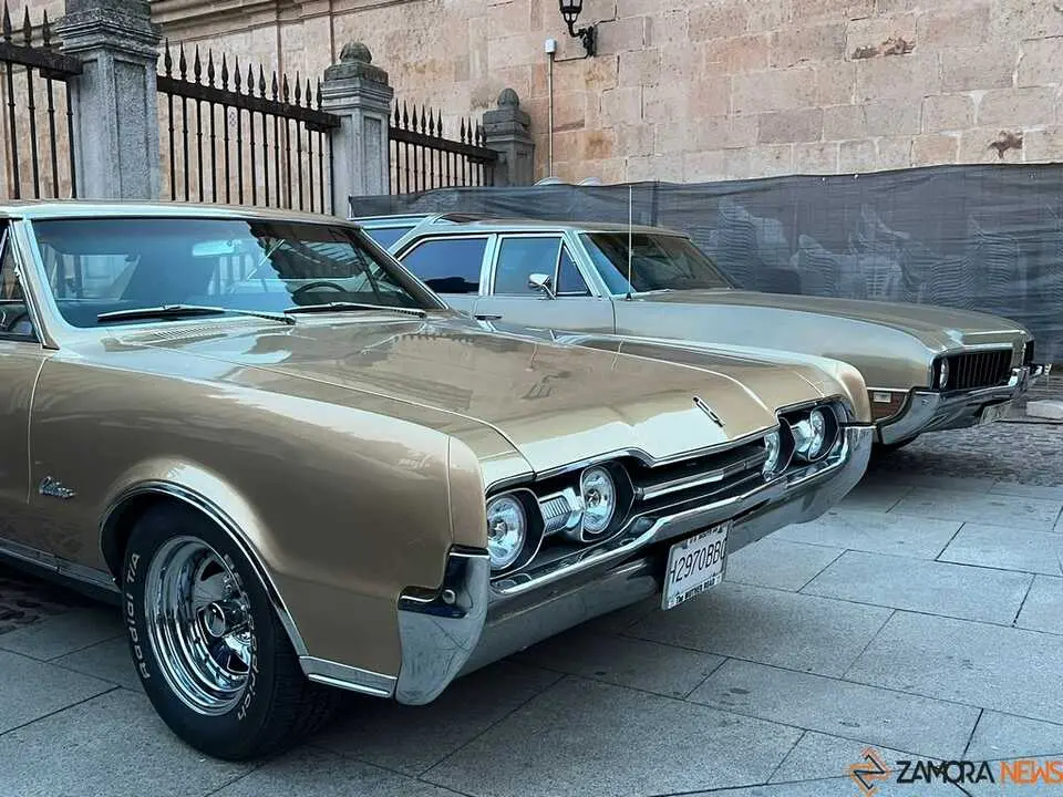 Pure American Style Zamora _23