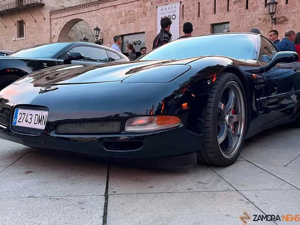 Pure American Style Zamora _25