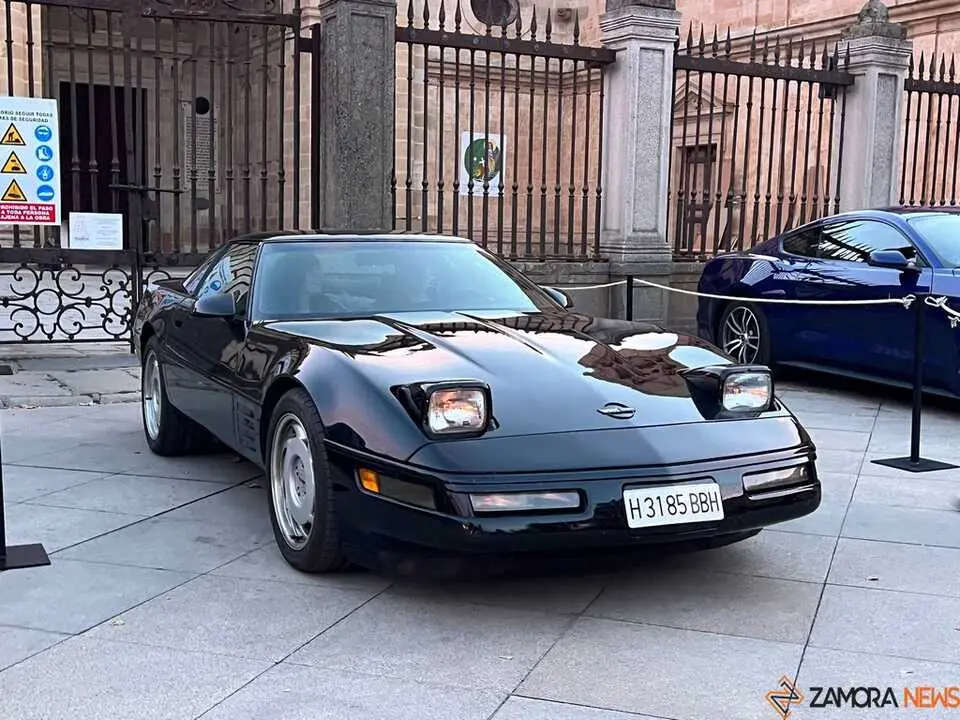 Pure American Style Zamora _26