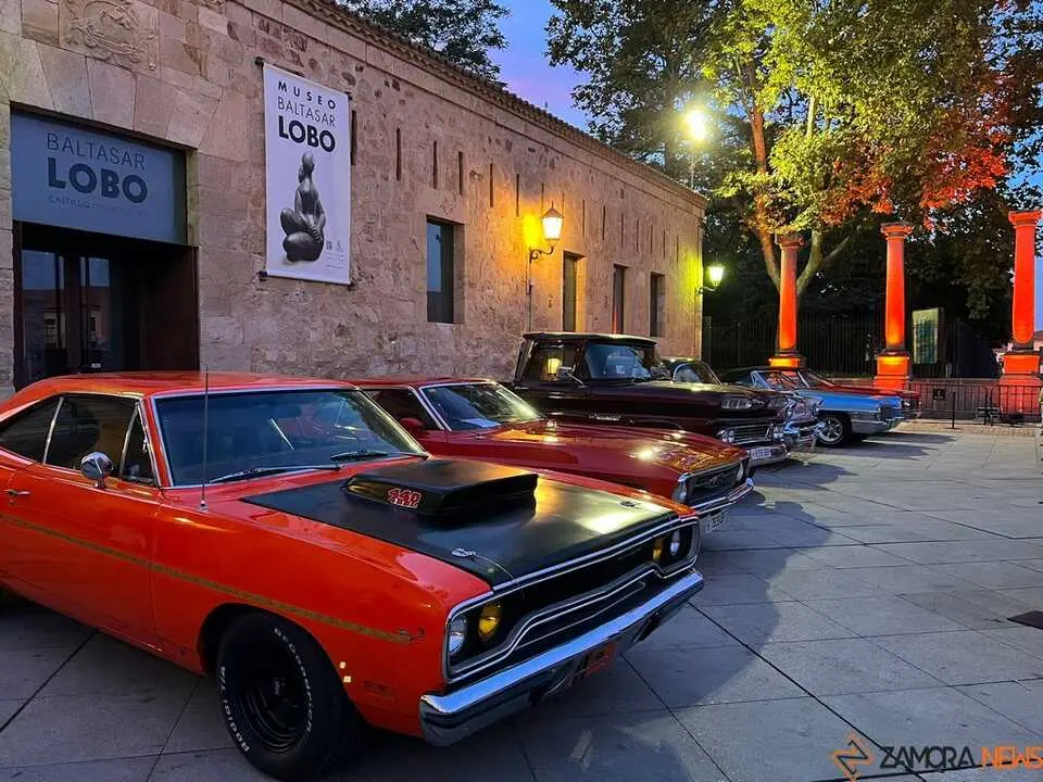 Pure American Style Zamora _28