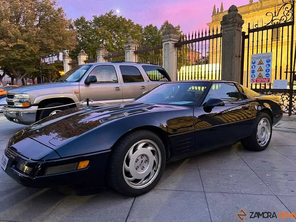 Pure American Style Zamora _29