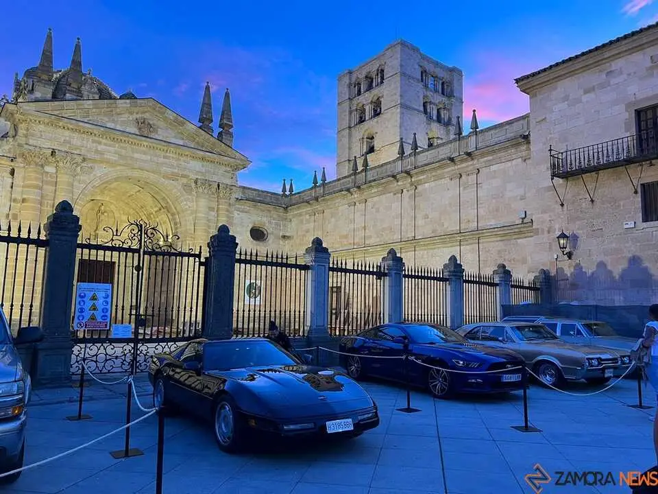 Pure American Style Zamora _31