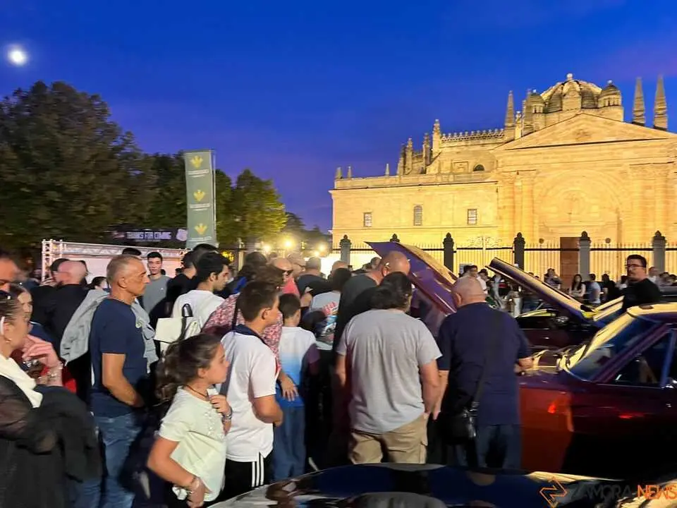 Pure American Style Zamora _33