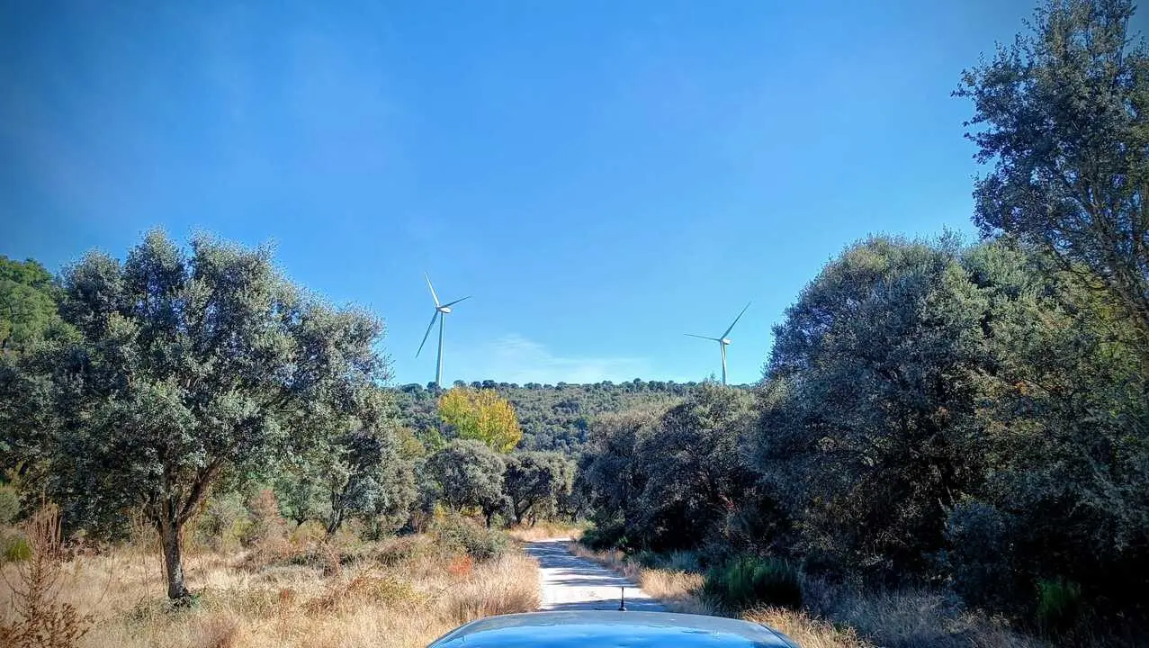 Molinos entre árboles