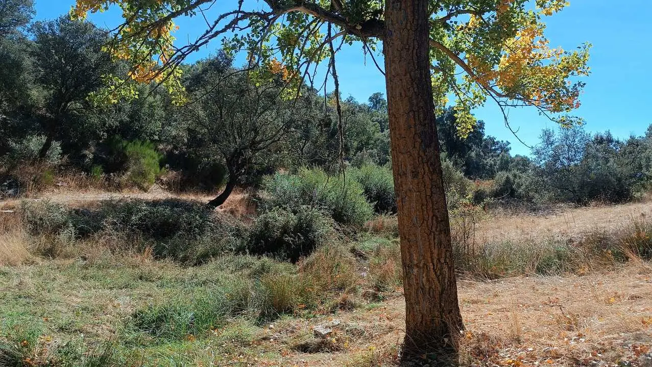 Ruta del Alcornocal6