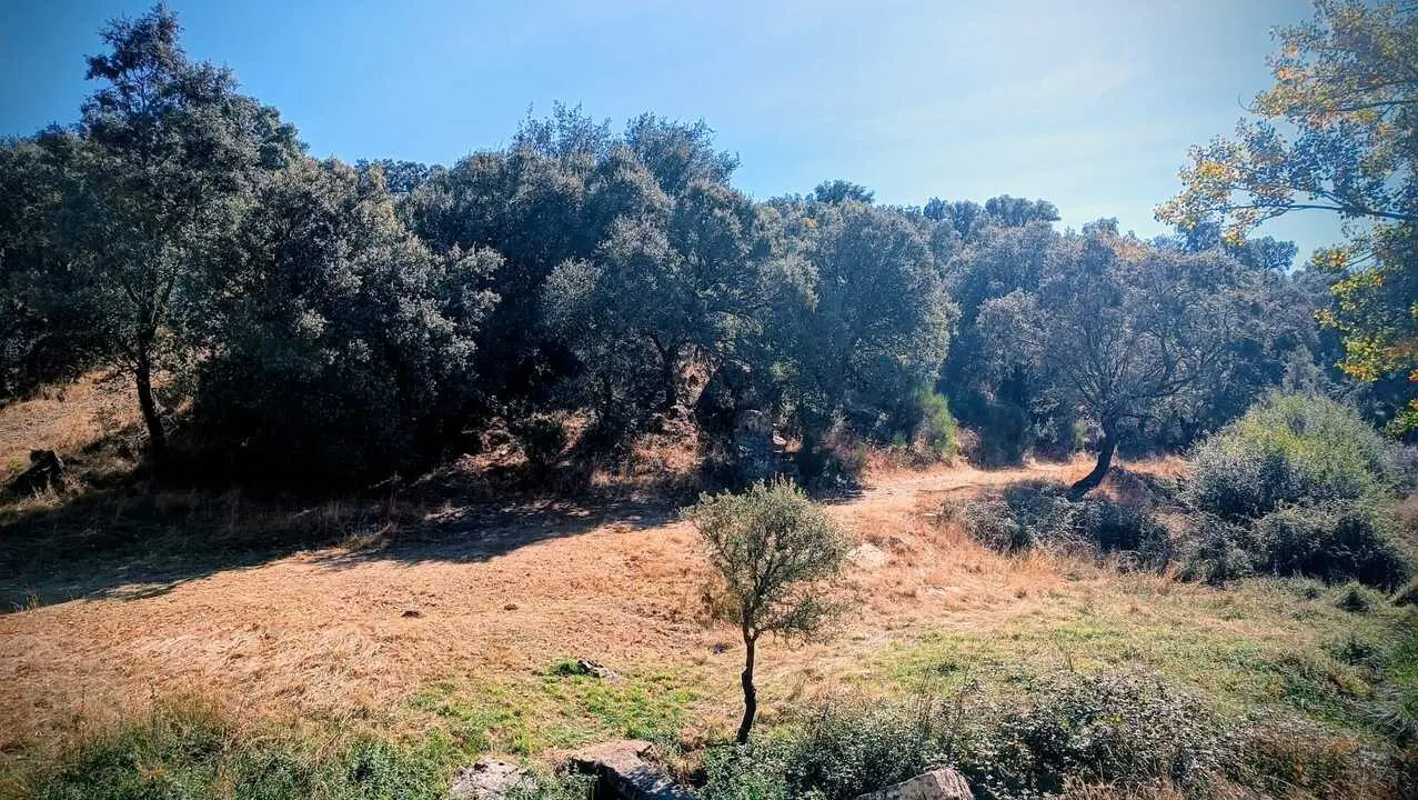 Ruta del Alcornocal3