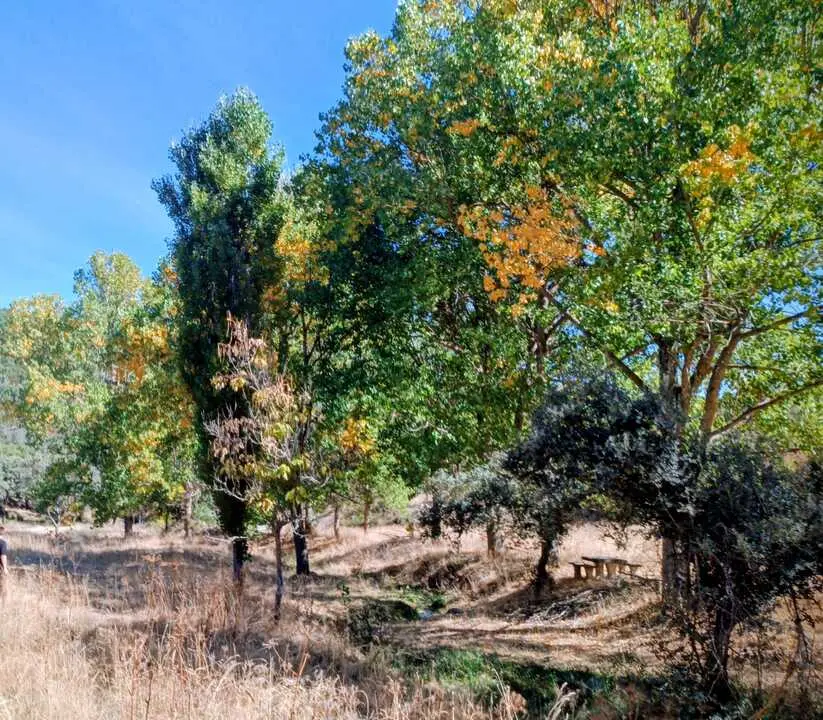 Ruta del Alcornocal1