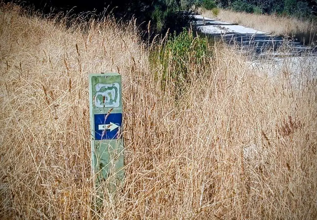Señal Camino de Santiago en la ruta del Alcornocal