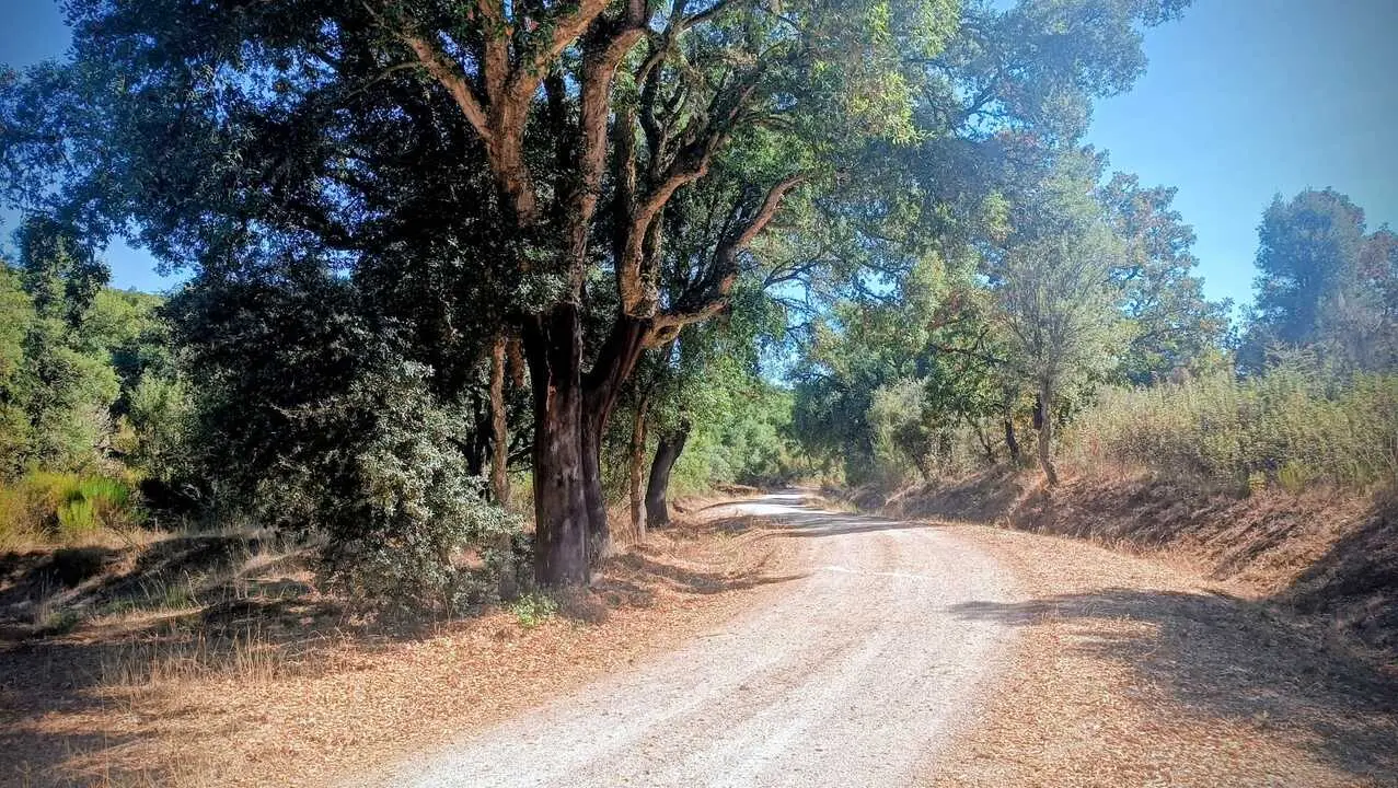 Ruta Alcornocal