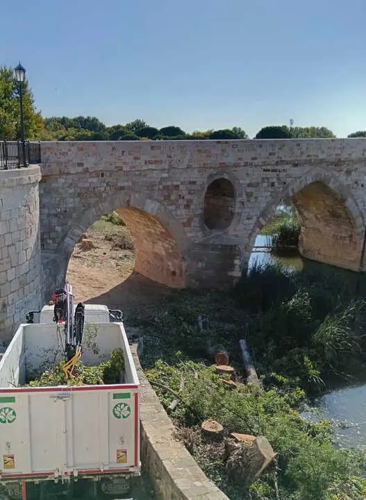tala de árboles en el Puente de piedra