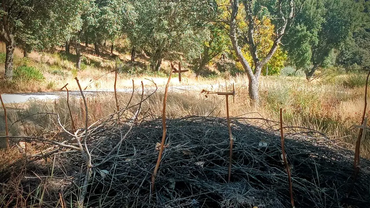Cañaheja en la ruta de Cerezal de Aliste