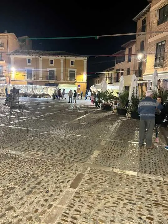 toro ambiente vendimia 2025 (1)