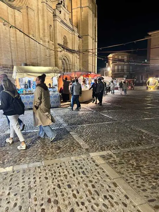 toro ambiente vendimia 2025 (2)
