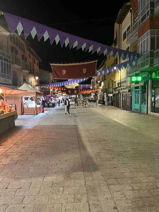 toro ambiente vendimia 2025 (3)