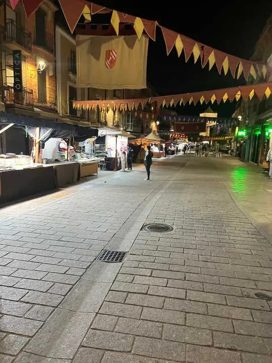 toro ambiente vendimia 2025 (5)