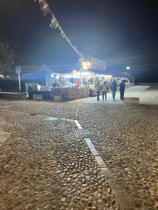 toro ambiente vendimia 2025 (11)