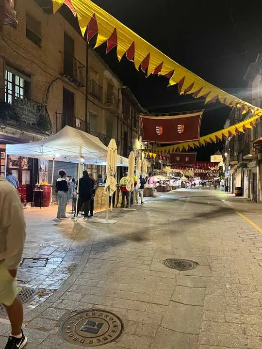 toro ambiente vendimia 2025 (12)