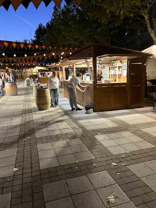 toro ambiente vendimia 2025 (14)
