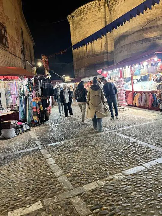 toro ambiente vendimia 2025 (15)
