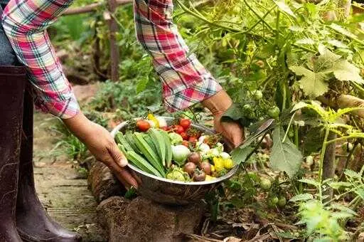 Agricultura de producción ecológica