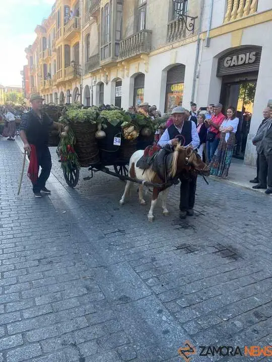 carros toro 2025_4