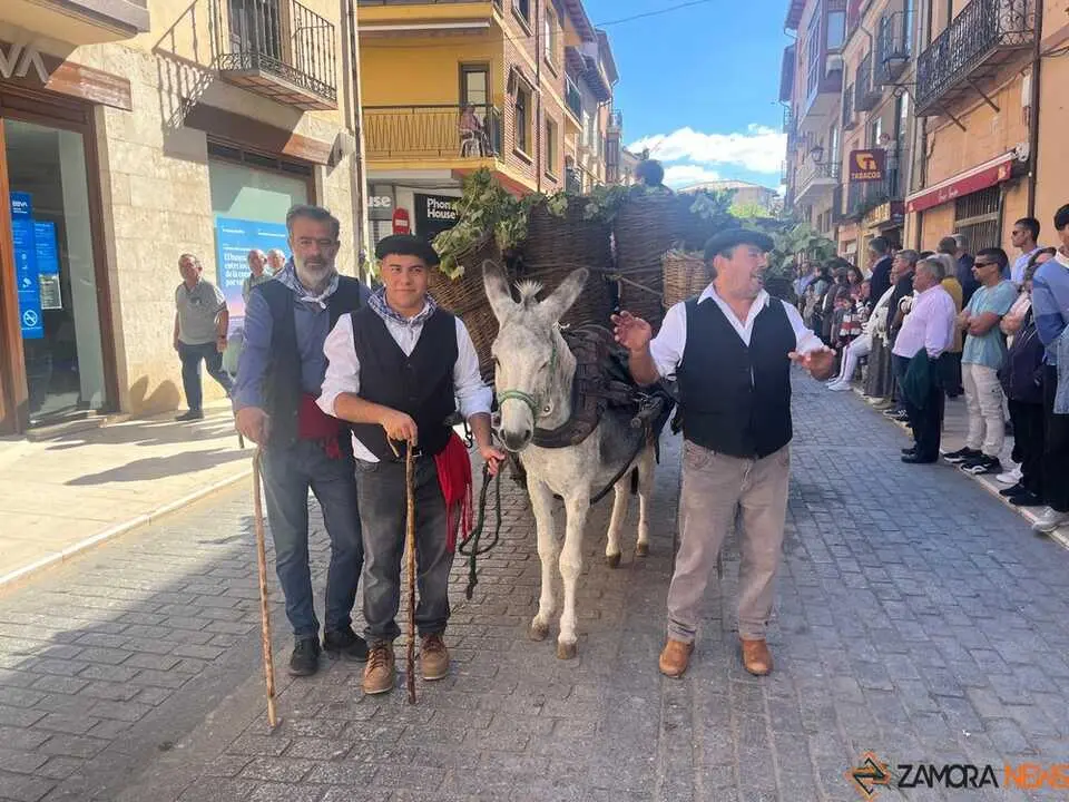 carros toro 2025_23