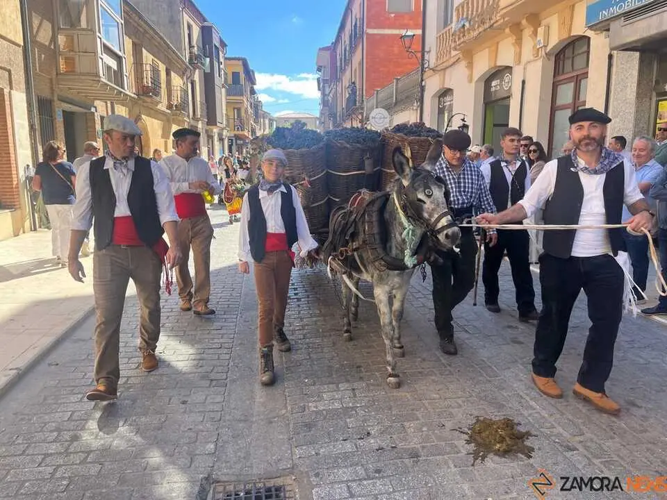 carros toro 2025_33