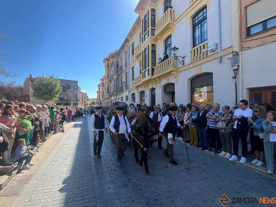 carros toro 2025_68