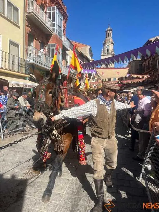 carros toro 2025_71