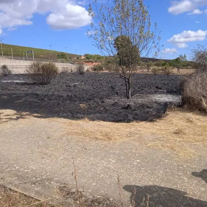 incendio Abejera