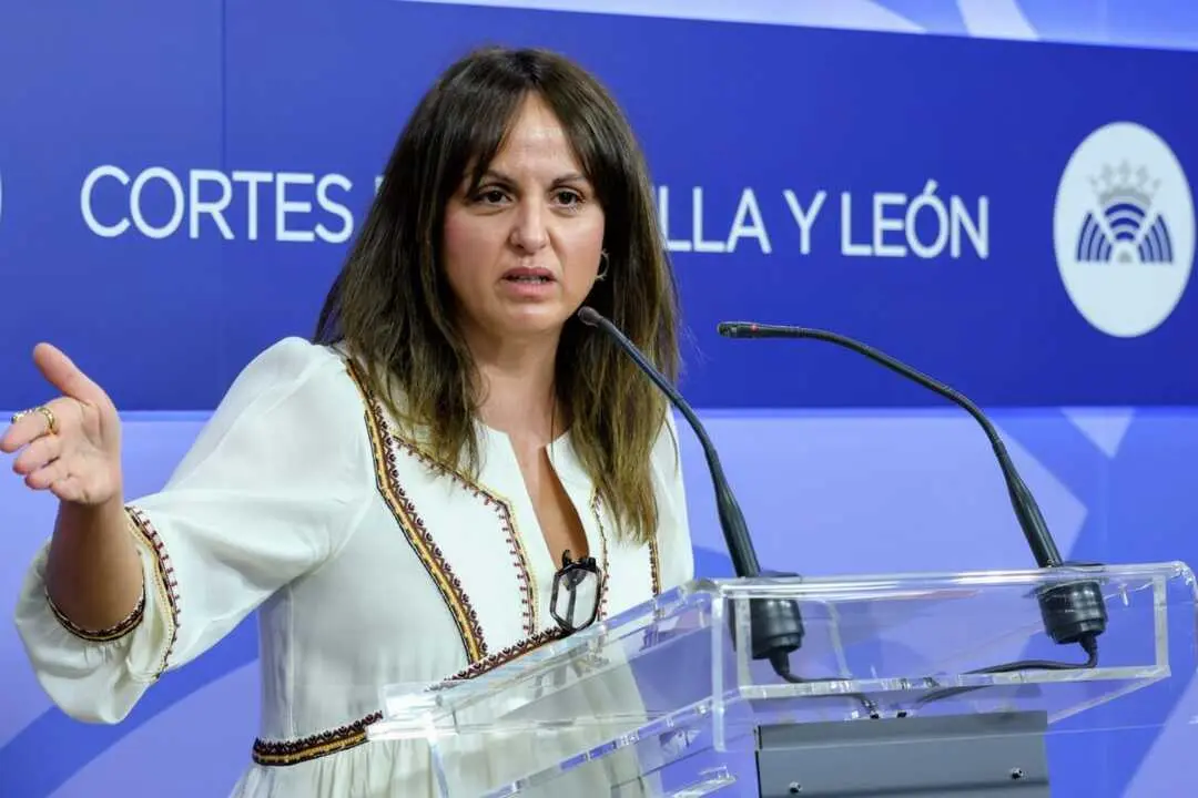 La portavoz socialista en las Cortes, Patricia Gómez