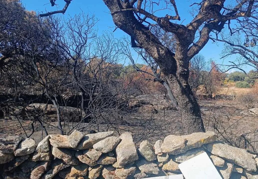 Finca quemada