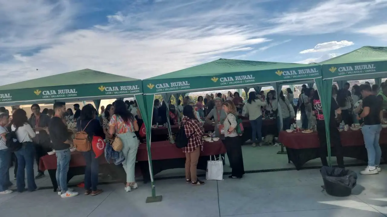 V Jornadas de Enfermería de Urgencias y Emergencias de Castilla y León en Zamora_15