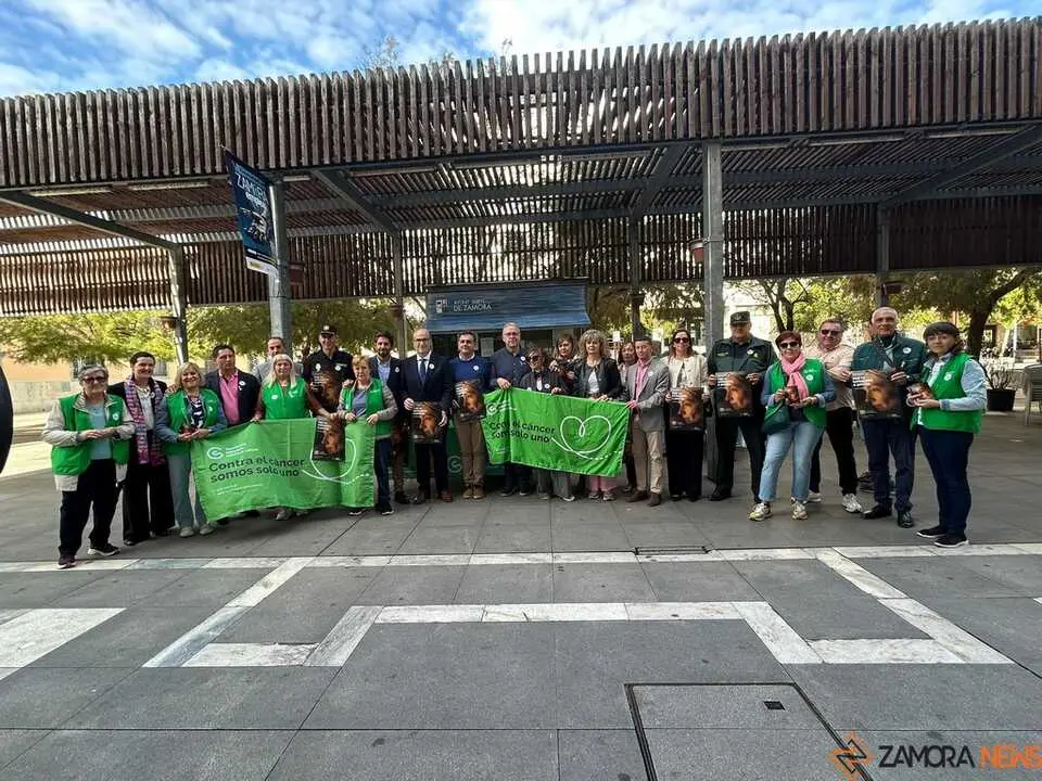 Campa&ntilde;a C&aacute;ncer de Mama AECC Zamora _4