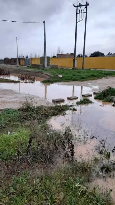 El agua inunda un camino en Manganeses de la Lampreana 2