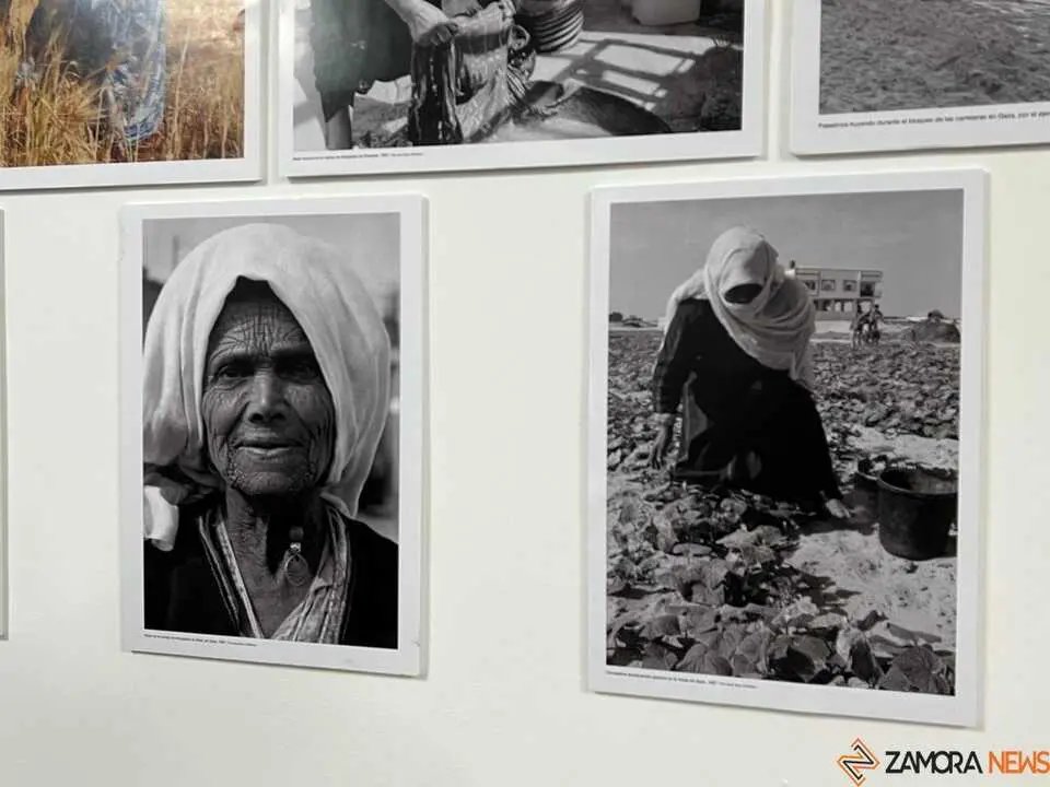 Exposición fotografía Para contar mi historia, archivo palestino _22