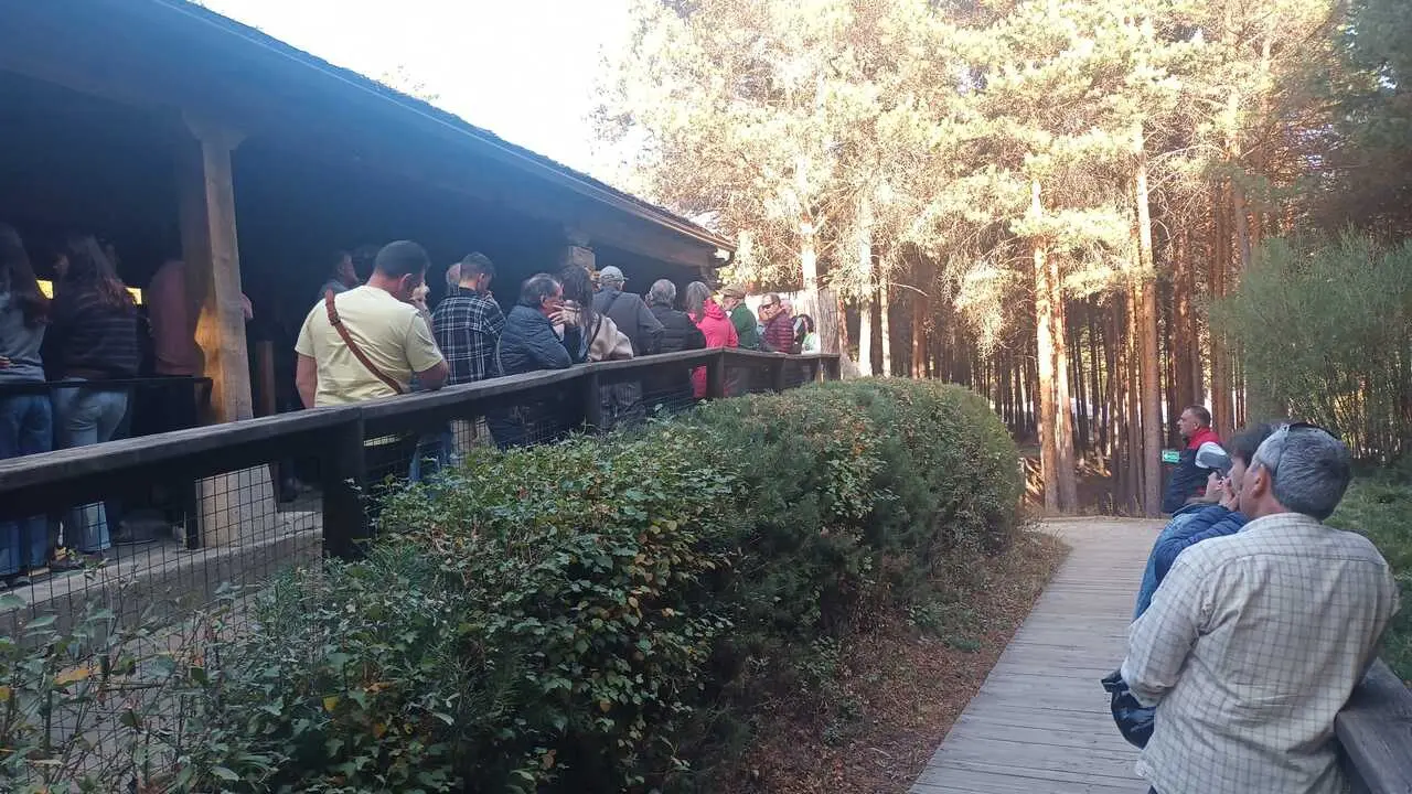 Visitantes Jornadas Abiertas Centro Lobo de Robledo2