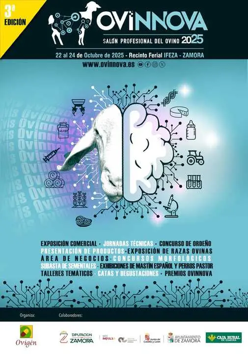 Ovinnova25