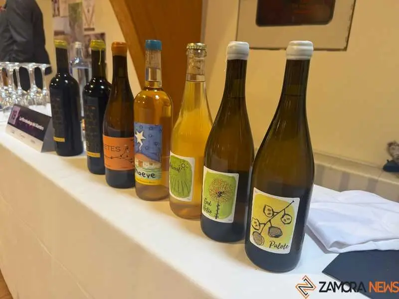 misión comercial en el sector del vino _2