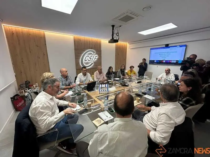 CSIF Zamora