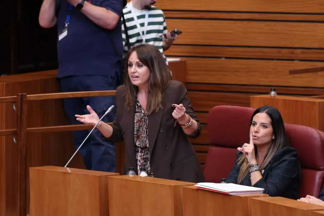 Patricia Gómez en las Cortes