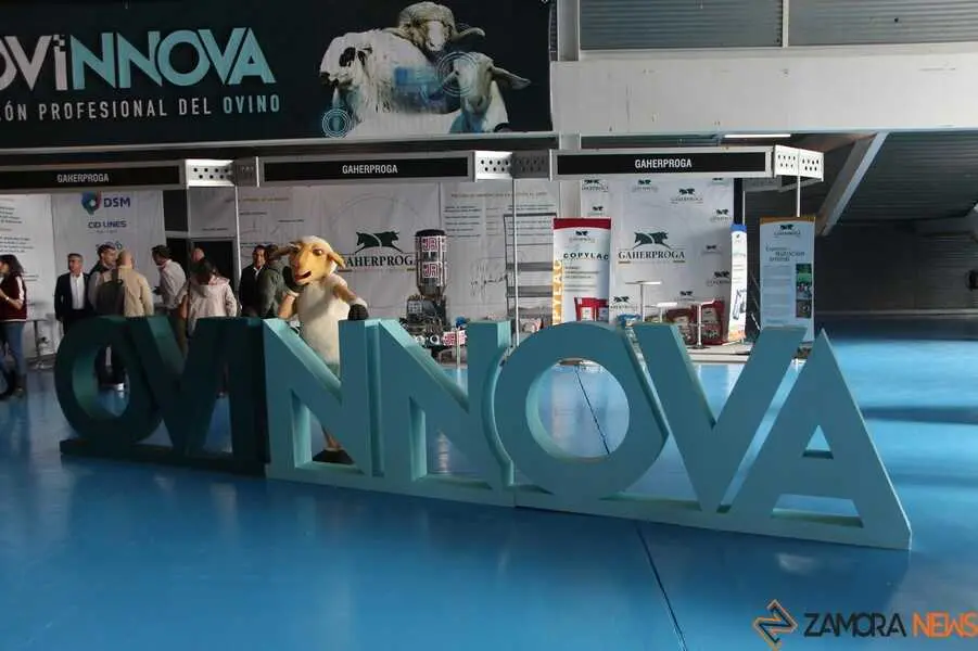 Ovinnova 2025_7