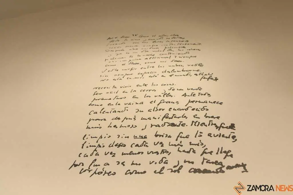  exposición Claudio Rodríguez_30